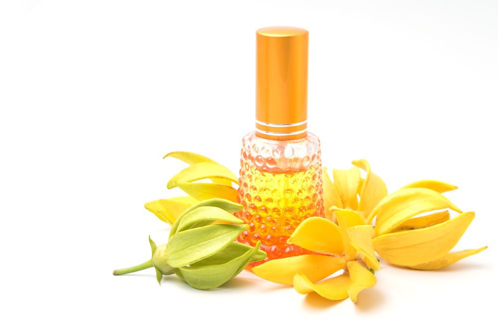 ylang ylang essential oil benefits for anxiety