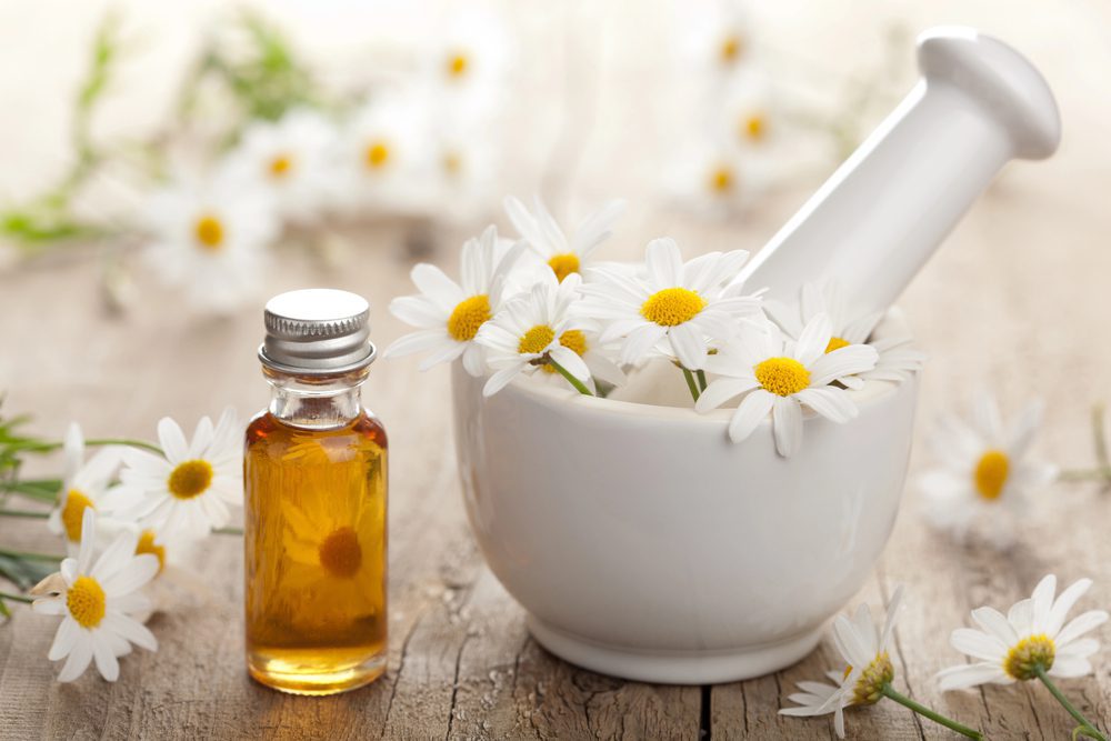 chamomile for anxiety