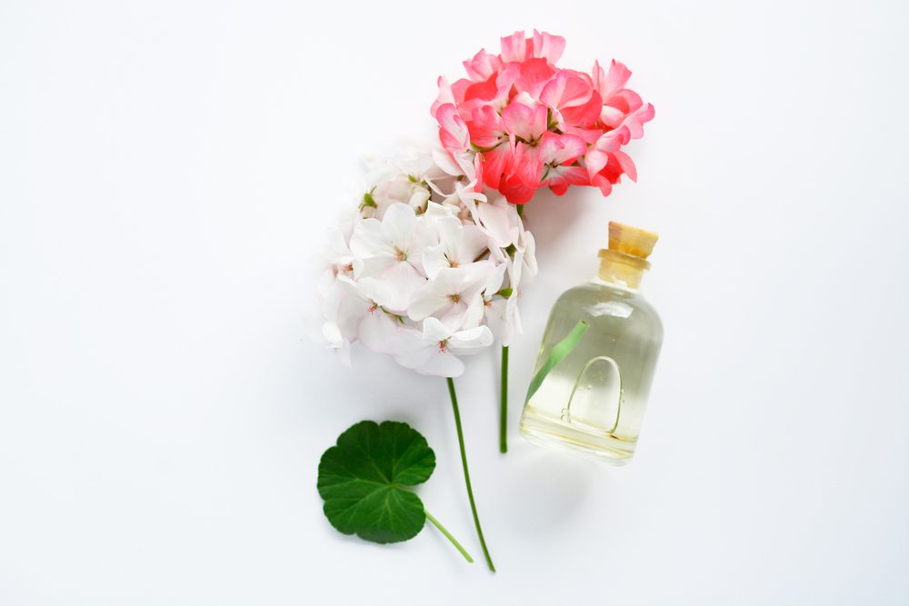 geranium essential oil for mental health and anxiety