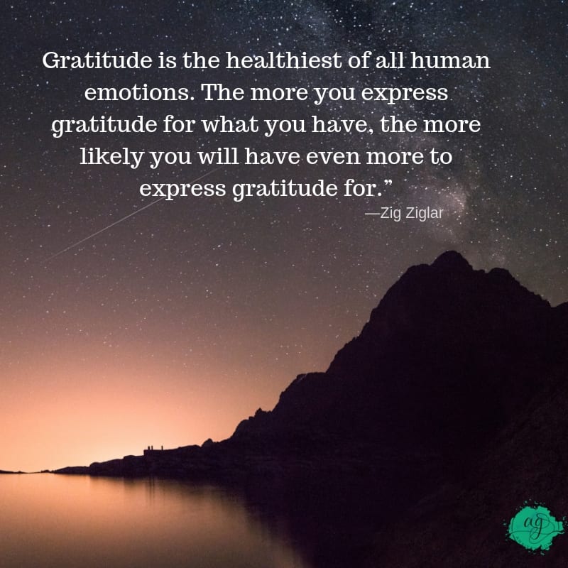 gratitude quotes, gratitude quotes for anxiety, best gratitude quotes, gratitude and anxiety, how to practice gratitude, gratitude benefits for anxiety, how to be more grateful, gratitude activities, why gratitude is important, anxiety gone, anxiety store, natural anxiety relief, natural cures for anxiety, anxiety attack, dealing with anxiety, overcoming anxiety, anxiety program, overcoming anxiety, coping with anxiety, help with anxiety, how to treat anxiety, anxiety subscription box, anxiety box, mental health subscription box, wellness subscription box, healthy subscription box, subscription box anxiety, subscription box for anxiety, subscription box for mental health, overcoming panic attacks, anxiety relief,